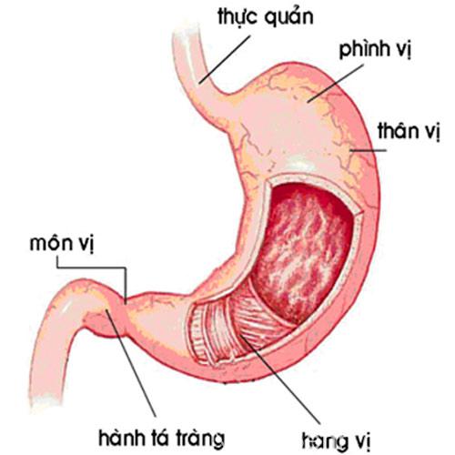 bệnh viêm dạ dày mạn tính